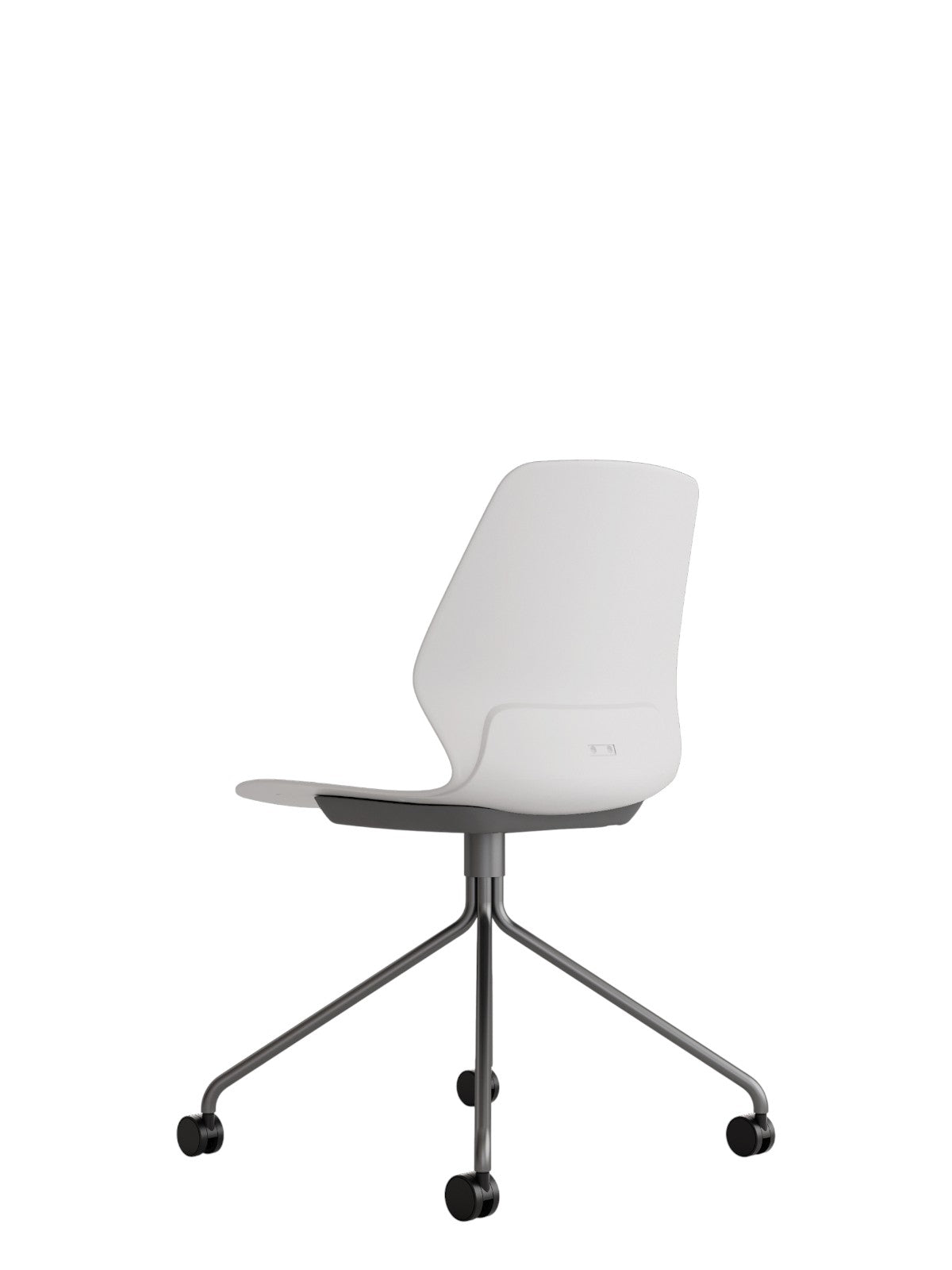 Kolbe gris perla spider
