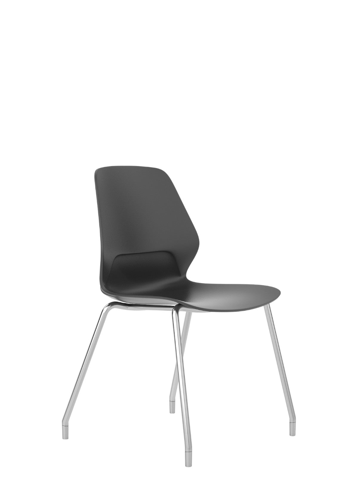 Kolbe negro cuatro patas gris