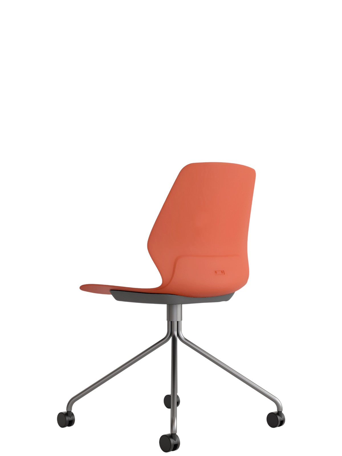Kolbe rojo perla spider