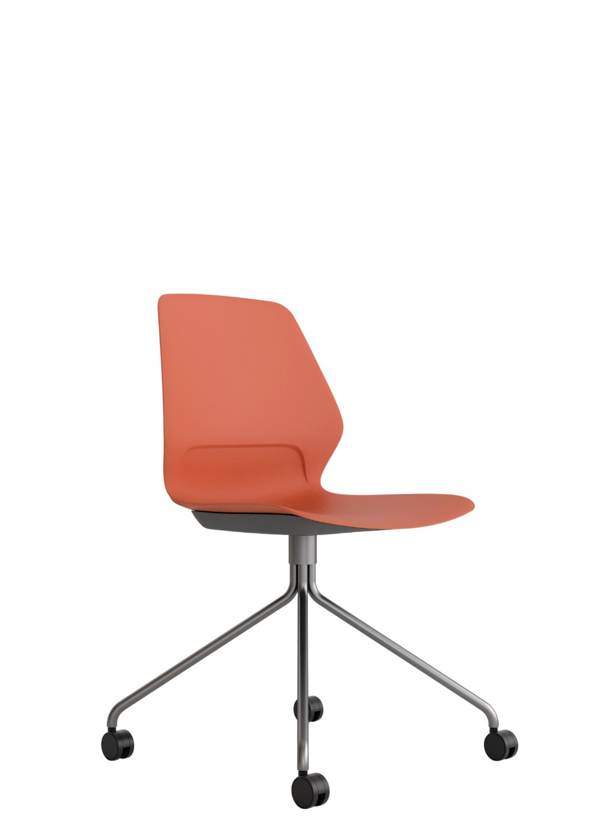 Kolbe rojo perla spider